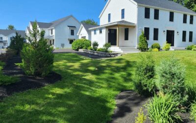 Is a Home Addition Right for You? 5 Signs It’s Time to Expand